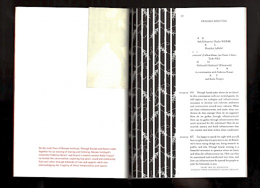 Clipping 1: Coming of Age, ed. Federica Notari and Natasha Rijkhoff